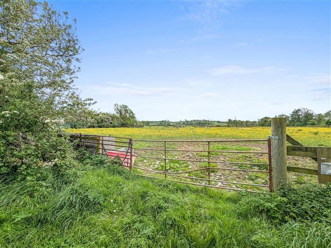 Mylerstown, Two Mile House, Co. Kildare