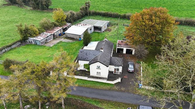 Ballinacor, Delvin, Co. Westmeath, N91X328