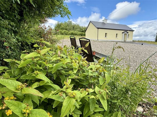 Drum, Knock, Co. Mayo, F12EF89