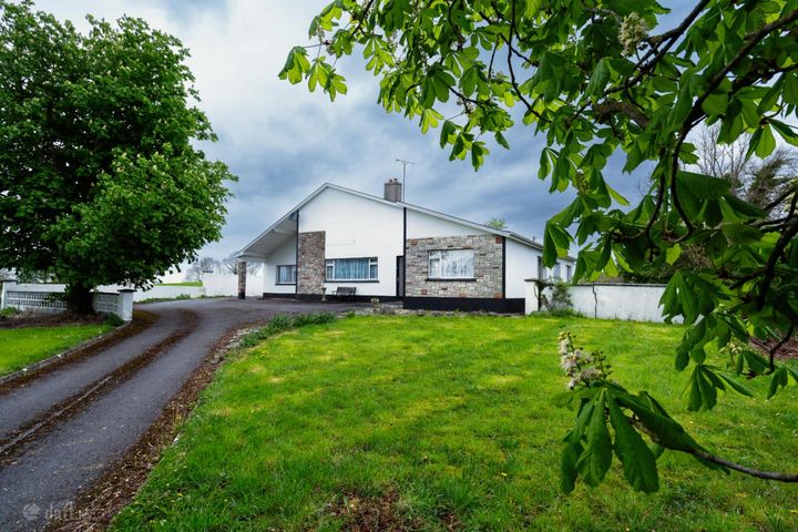 Ballywilliam, Kilcormac, Co. Offaly, R42V265