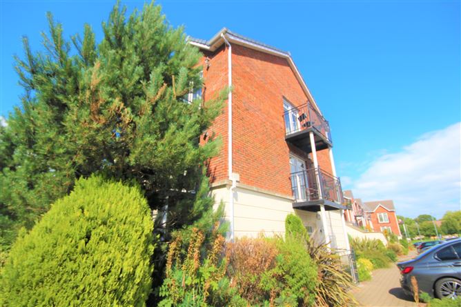 Stocking Wood Copse, Rathfarnham, Dublin 14