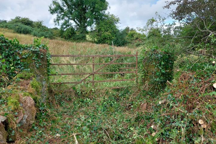 Gortnapeasta, Clondrohid, Macroom, Co. Cork