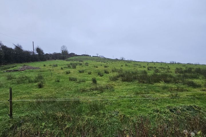 Corlea, Ballybay, Co. Monaghan