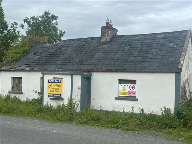 Granagh, Kilmallock, Ballinleeny, Co. Limerick, V35W582