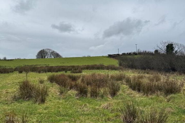 Toneneave, Maghercloone, Carrickmacross, Co. Monaghan
