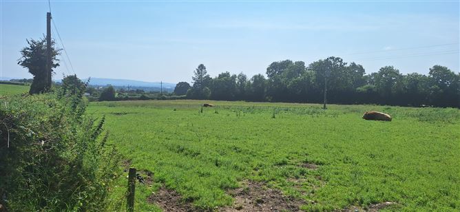 .75 Acre Site, Kilcarrig, Bagenalstown, Co. Carlow