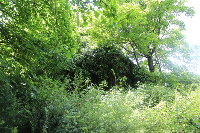 Derelict Cottage On 1 Acre, Seskinryan, Bagenalstown, Co. Carlow