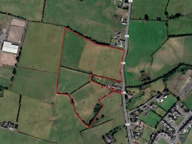 Whitepark, Approx. 6.29 Hectares / 15.54 Acres, Roscrea, Co. Tipperary