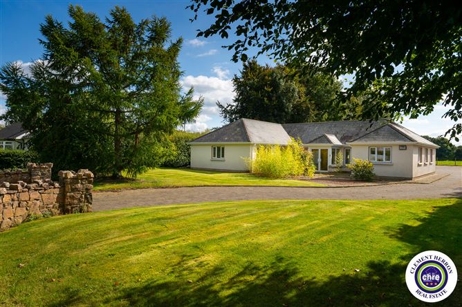 Shandra, Portarlington, Offaly