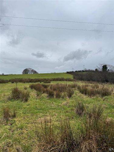 Toneneave, Maghercloone, Carrickmacross, Monaghan