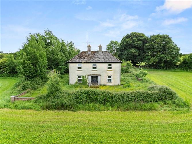 Ratheadon, Bagenalstown, Co. Carlow, R21DC79