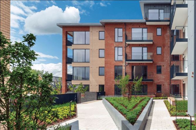 71 DANEHILL, PHOENIX PARK RACECOURSE, CASTLEKNOCK