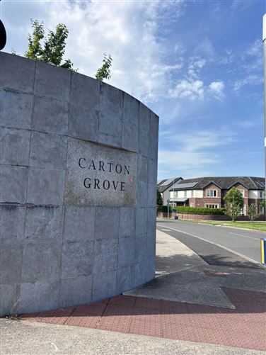 19 Carton Grove, Dublin Road, Maynooth