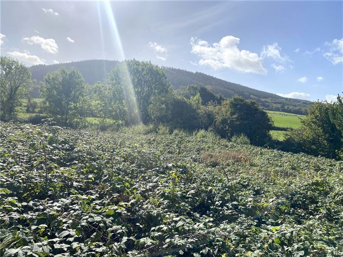 Coolcarron, Fermoy, Co. Cork