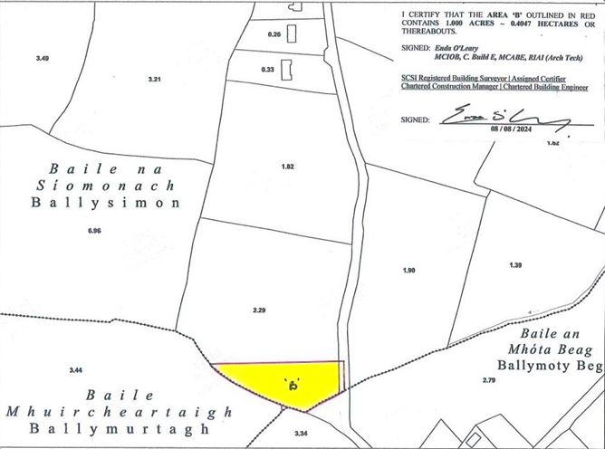 Ballysimon, Monageer, Wexford