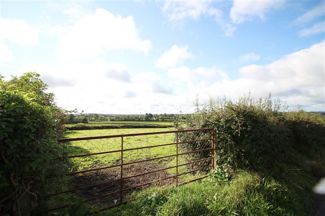 Lobinstown, Navan, Meath