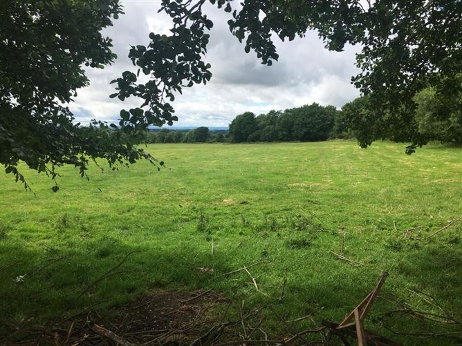 2.48 Hectares/6.128 Acres, Ballyshannon, Kilcullen, Co. Kildare
