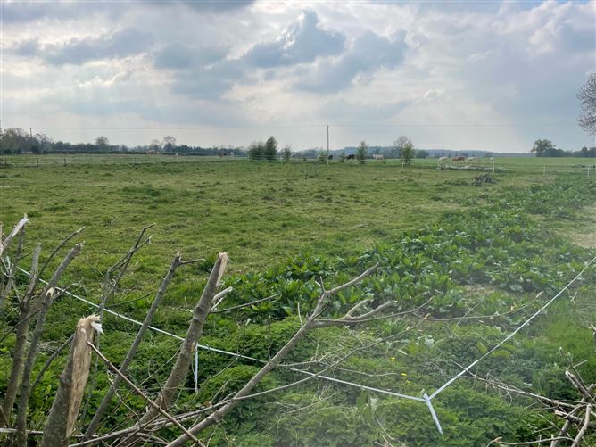Ballindoolin, Edenderry, Kildare