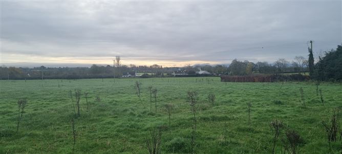 1 x 3.5 acres Sites SPP, Palatine, Co. Carlow