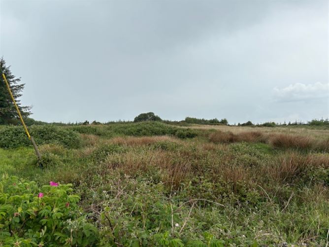 Ballybreen, Kilfenora, Clare