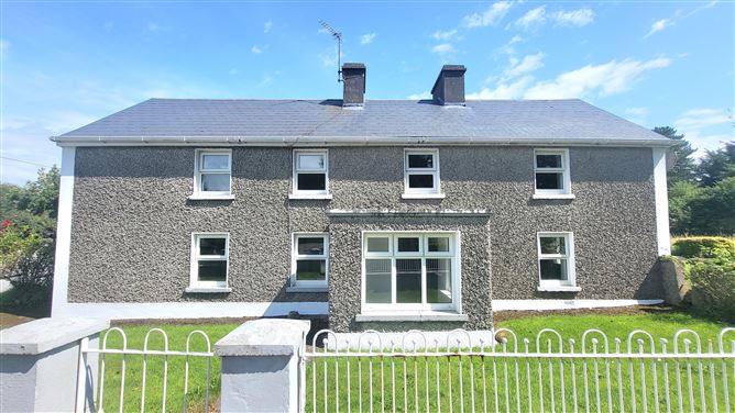 Ballingarry, Roscrea, Pike, Co. Tipperary, E53HD53