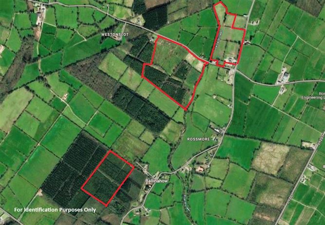 Lands Rossmore, Cashel, Co. Tipperary
