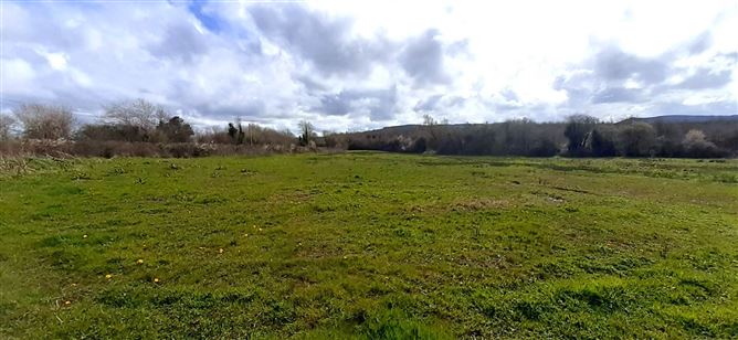 BALLYLANIGAN, MULLINAHONE, TIPPERARY