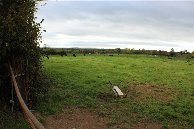 Laffina, Clonoulty, Cashel, Co. Tipperary