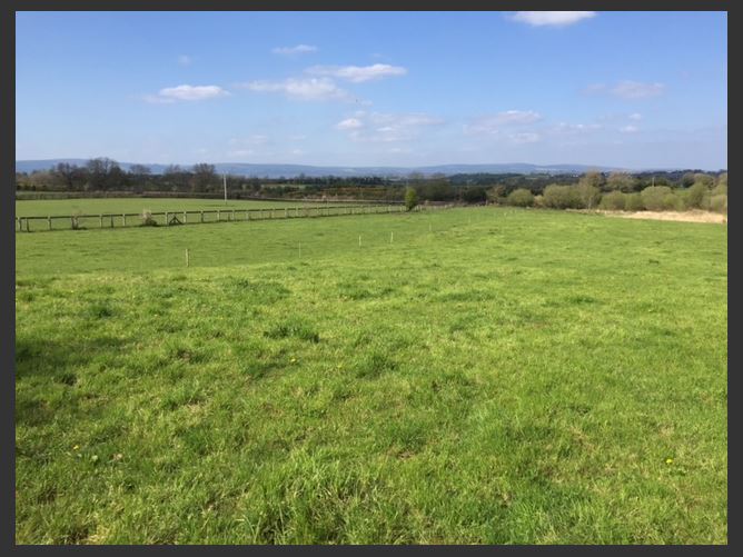 Kylebeg, Borris-in-Ossory, Laois