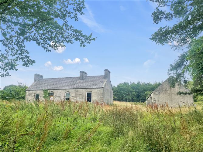 Tullagower, Cooraclare, Kilrush, Co. Clare, V15H324