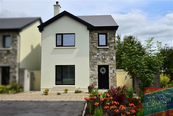 2 PAIRC NA RI, ATHENRY