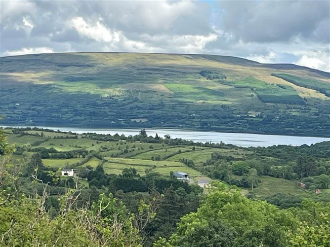 Derreenavoggy, Arigna, Carrick-on-Shannon, Co. Roscommon, N41TV77