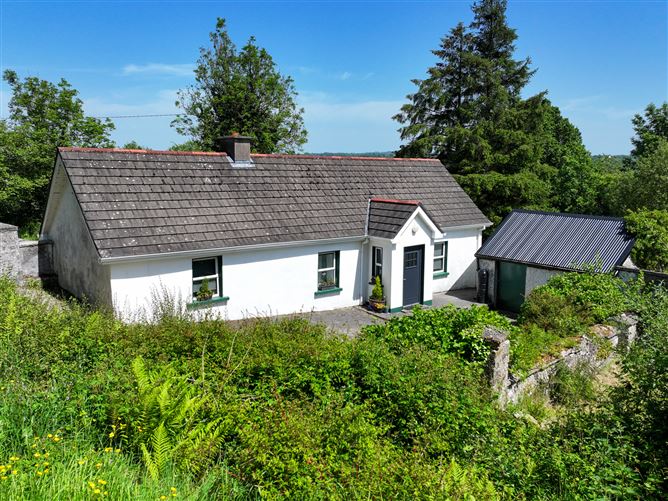 DRUMSHANBO SOUTH, MOHILL, LEITRIM
