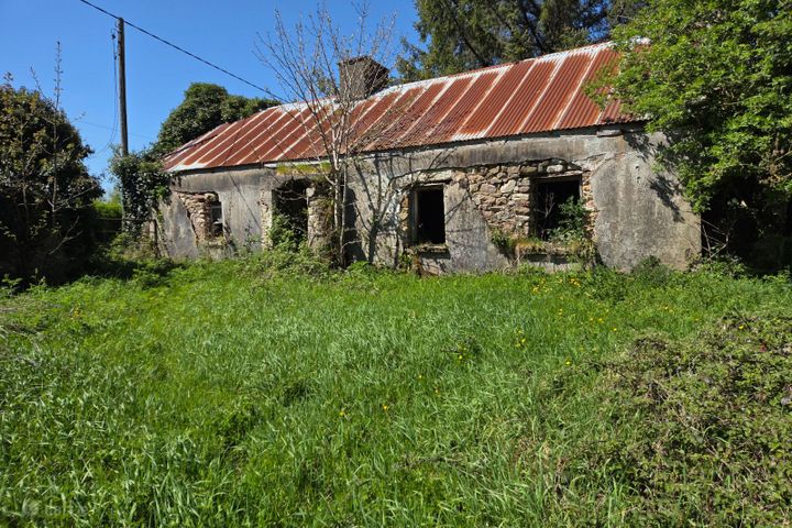 Clogheenafishoge, Ballylooby, Co. Tipperary