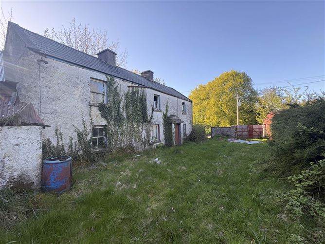 Blackcastle, Navan, Co. Meath, C15N525