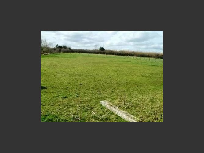 Kilcooney, Clonygowan, Offaly