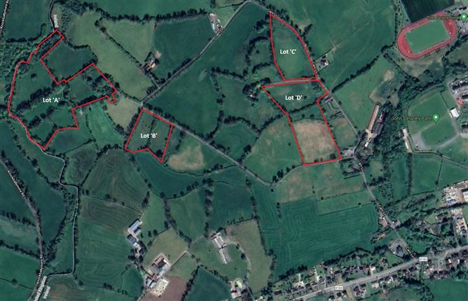 Lisanroe/Carn, Clones, Monaghan