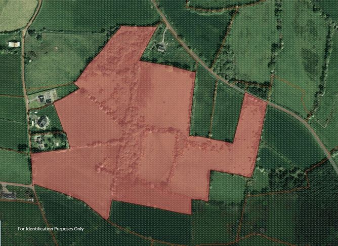 Lands Miltown, Graiguenmanagh, Borris, Co. Kilkenny