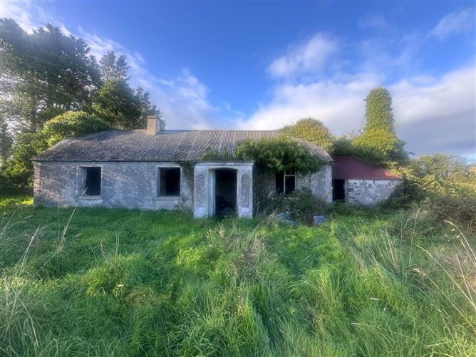 Tirlahode Upper (CN7278f), Cavan, County Cavan