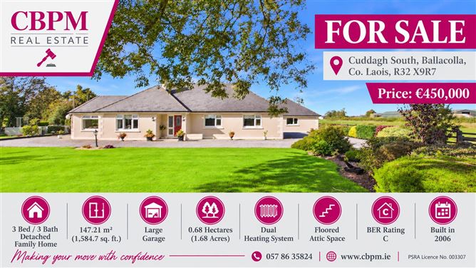 Cuddagh South, Ballacolla, Ballacolla, Co. Laois, R32X9R7