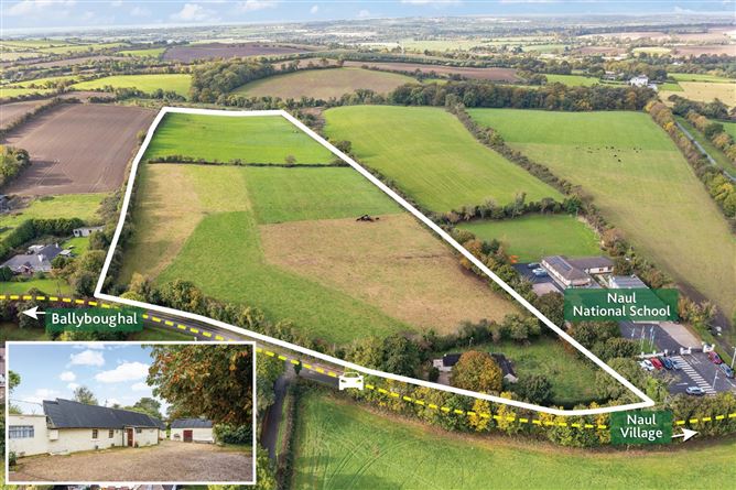Residence On Approx 13.8 Acres Cabinhill, Naul, County Dublin