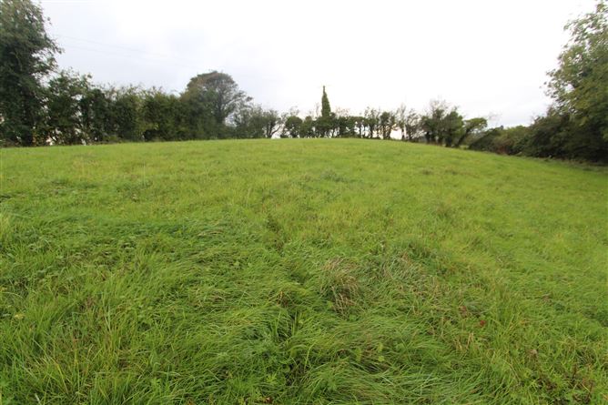CORRATANTY, CASTLEBLAYNEY, MONAGHAN