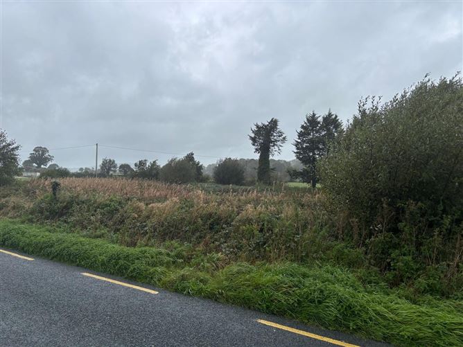0.96 Acre Site, Harristown, Graiguemanagh, Co. Carlow